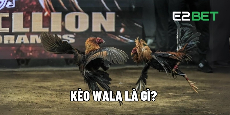 Kèo Wala Là Gì? Hướng Dẫn Chiến Thuật Cá Cược Thắng Tại E2BET 1 Kèo Wala là gì?